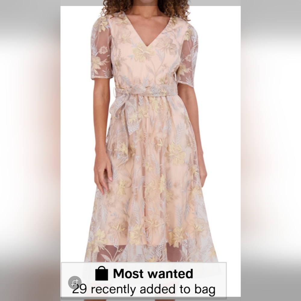 Elegant Floral Embroidered Dress